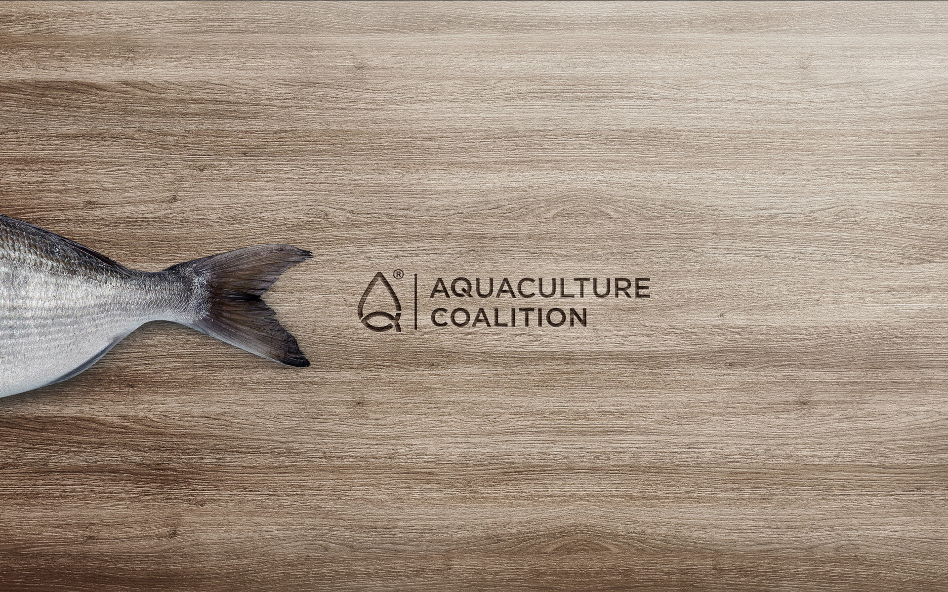 Aquaculture Coalition