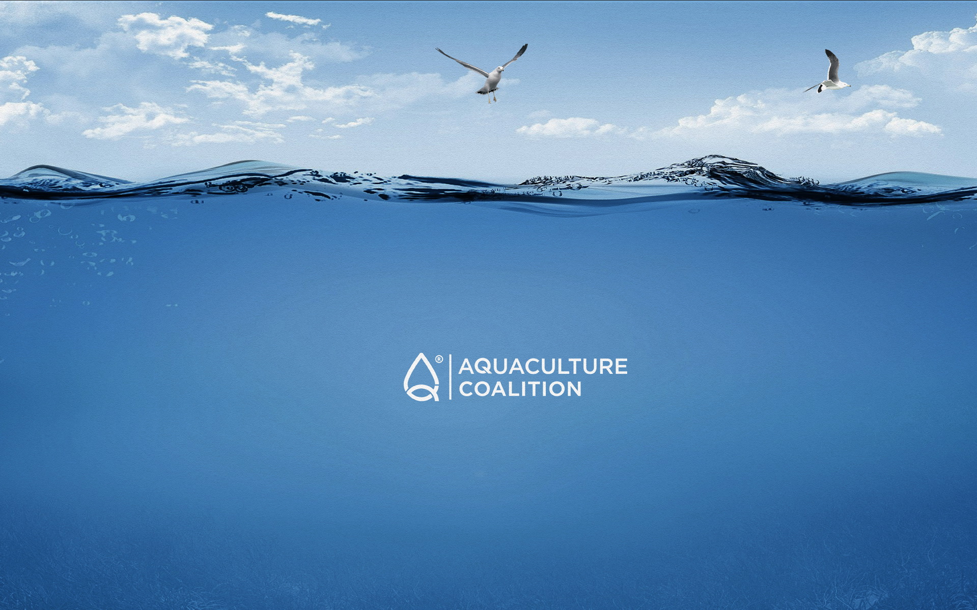 Aquaculture Coalition